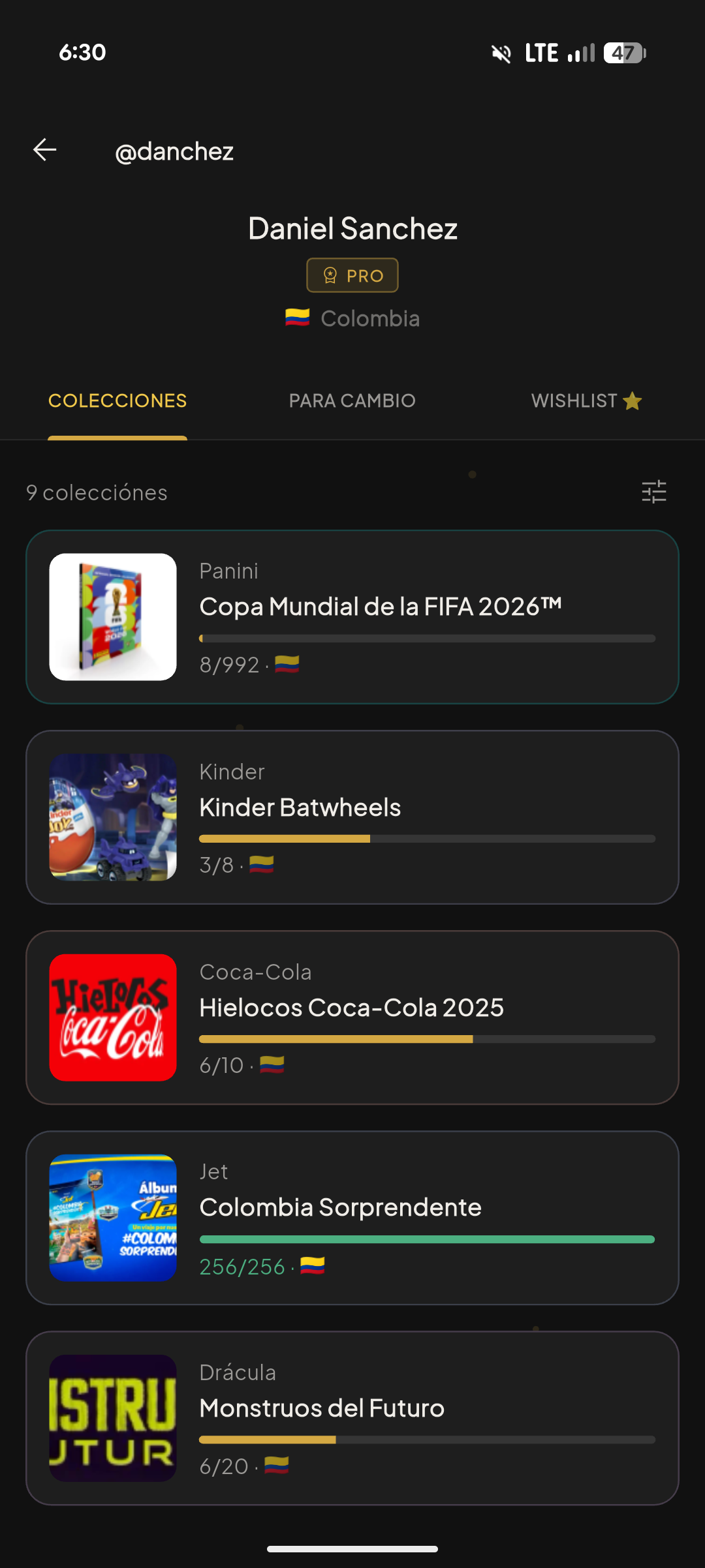 Pantalla de Perfil Público